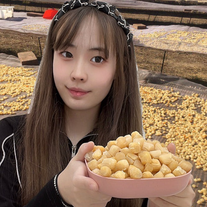 Dried Scallop, Seafood Chlamys Gan Bei 干贝, Yao Zhu 瑶柱, Yuan Bei 元贝, Shan Bei 扇贝-Health Wisdom™