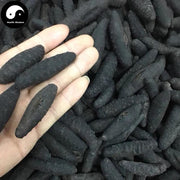 Dried Sea Cucumber, Seafood Hai Shen 海参-Health Wisdom™