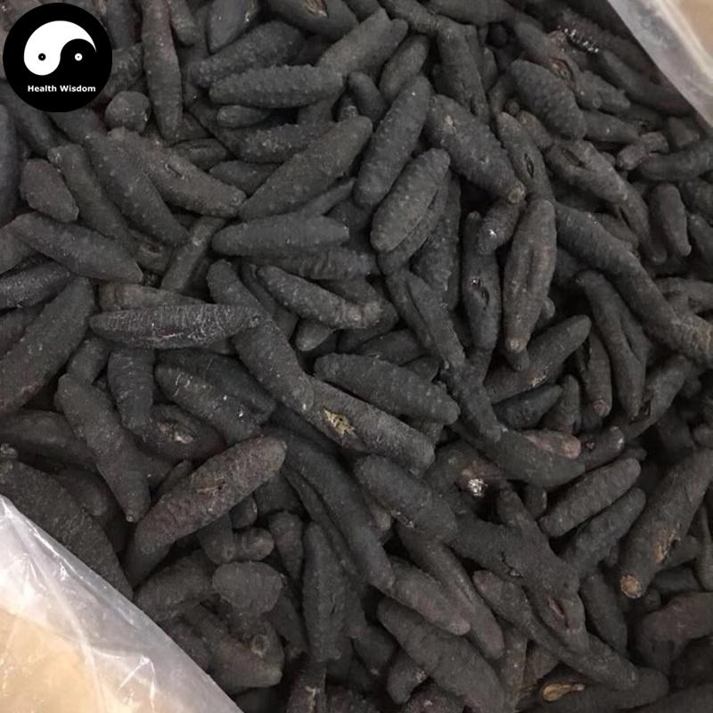 Dried Sea Cucumber, Seafood Hai Shen 海参-Health Wisdom™