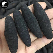 Dried Sea Cucumber, Seafood Hai Shen 海参-Health Wisdom™