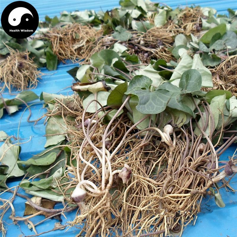 Du Heng 杜衡, Herba Asari Forbesii, Forbes Wildginger Herb, Tu Xi Xin, Du Kui-Health Wisdom™