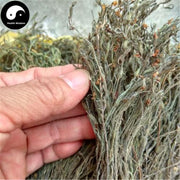 Du Jiao Jin 独脚金, Herba Striga Asiatica, Du Jiao Gan, Gan Ji Cao-Health Wisdom™