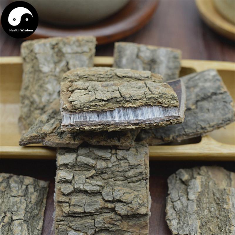 Du Zhong Pi 杜仲皮, Cortex Eucommiae Ulmoides, Eucommia Bark-Health Wisdom™