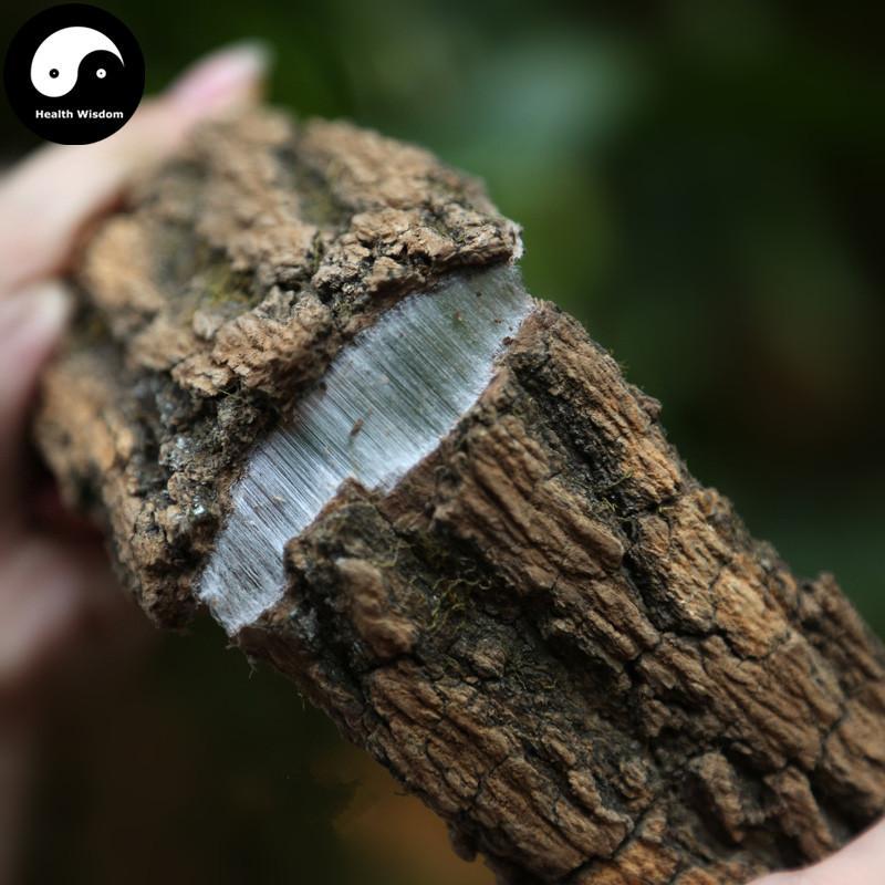 Du Zhong Pi 杜仲皮, Cortex Eucommiae Ulmoides, Eucommia Bark-Health Wisdom™