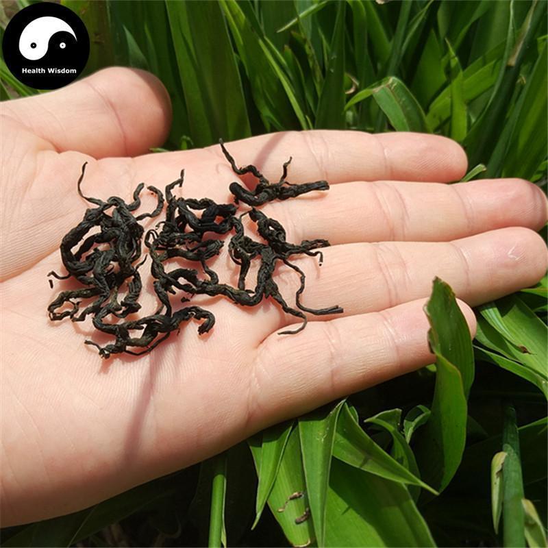 Du Zhong Ye Cha 杜仲葉茶, Folium Eucommiae Ulmoides, Gutta Leaf Tea-Health Wisdom™