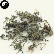 E Bu Shi Cao 鵝不食草, Small Centipeda Herb, Herba Centipedae-Health Wisdom™
