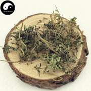 E Bu Shi Cao 鵝不食草, Small Centipeda Herb, Herba Centipedae-Health Wisdom™