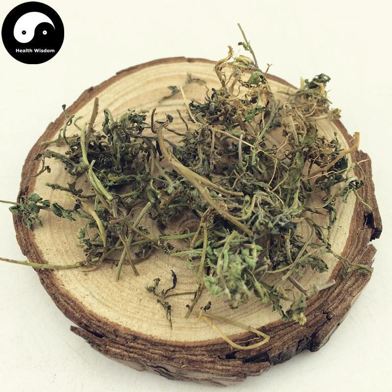 E Bu Shi Cao 鵝不食草, Small Centipeda Herb, Herba Centipedae-Health Wisdom™