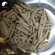 E Guan Shi 鵝管石, Coral Skeleton, Stalactite-Health Wisdom™