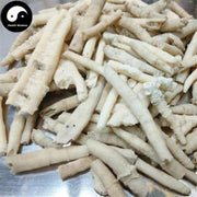 E Guan Shi 鵝管石, Coral Skeleton, Stalactite-Health Wisdom™