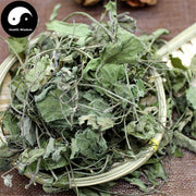 E Jiao Ban 鵝腳板, Diversifolious Pimpinella Herb, Yi Ye Hui Qin-Health Wisdom™