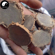 E Zhu 莪術, Curcuma Zedoary, Rhizoma Curcumae-Health Wisdom™