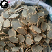 E Zhu 莪術, Curcuma Zedoary, Rhizoma Curcumae-Health Wisdom™
