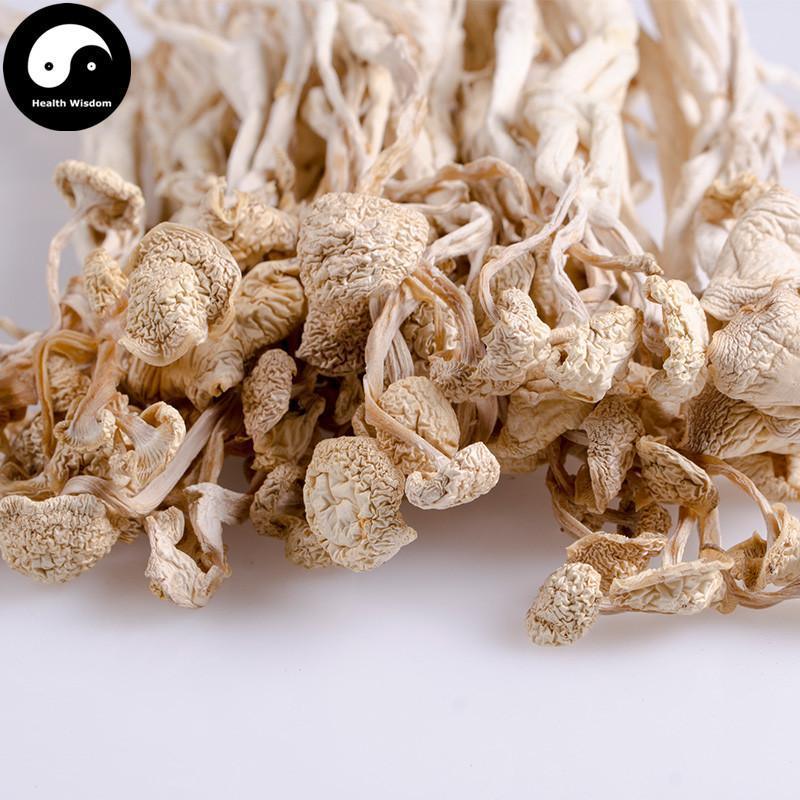 Enokitake (えのき茸, 팽이버섯), Flammulina Velutipes 金针菇-Health Wisdom™