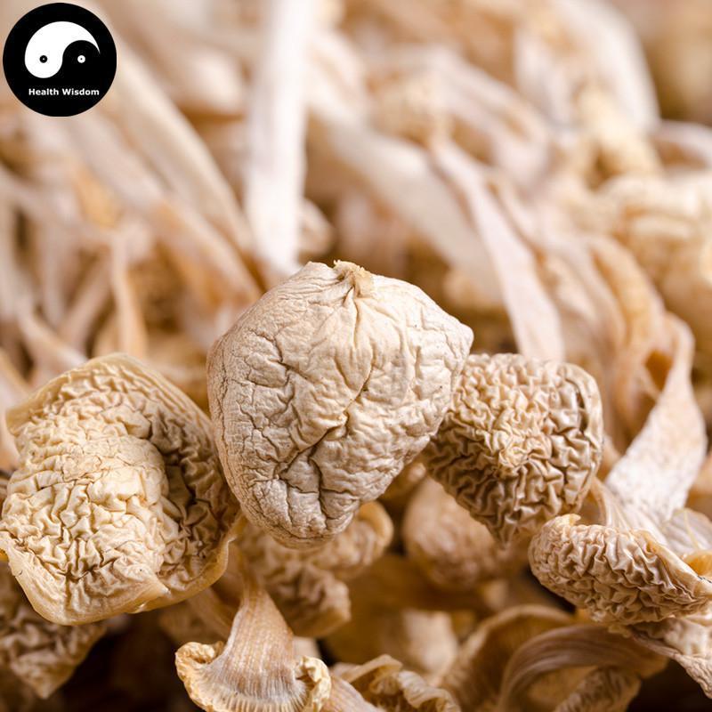 Enokitake (えのき茸, 팽이버섯), Flammulina Velutipes 金针菇-Health Wisdom™