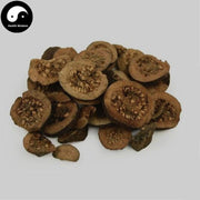 Fan Shi Liu Gan 番石榴, Fructus Psidii Guajavae Immaturus, Immature fruit of guava-Health Wisdom™