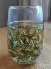 Fan Shi Liu Ye 番石榴叶, Guava Leaf Tea, Folium Psidii Guajavae-Health Wisdom™