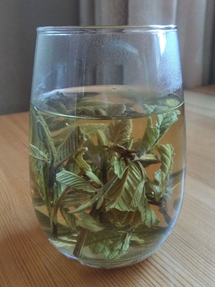 Fan Shi Liu Ye 番石榴叶, Guava Leaf Tea, Folium Psidii Guajavae-Health Wisdom™