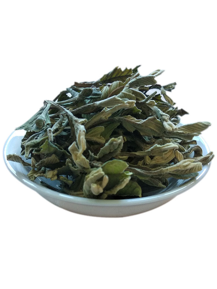 Fan Shi Liu Ye 番石榴叶, Guava Leaf Tea, Folium Psidii Guajavae-Health Wisdom™