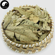 Fan Shi Liu Ye 番石榴叶, Leaf Of Guava, Folium Psidii Guajavae-Health Wisdom™