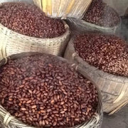Fei Zi 榧子, Semen Torreyae, Grand Torreya Seed, Nut Xiang Fei 香榧-Health Wisdom™