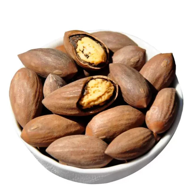 Fei Zi 榧子, Semen Torreyae, Grand Torreya Seed, Nut Xiang Fei 香榧-Health Wisdom™