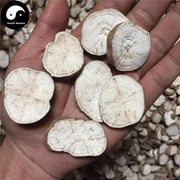 Fen Fang Ji 粉防己, Radix Stephaniae Tetrandrae, Fourstamen Stephania Root-Health Wisdom™