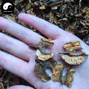 Fen Xin Mu 分心木, Seminis Juglantis Septum, Hu Tao Jia, Hu Tao Yi, Hu Tao Ge-Health Wisdom™