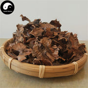 Fen Xin Mu 分心木, Seminis Juglantis Septum, Hu Tao Jia, Hu Tao Yi, Hu Tao Ge-Health Wisdom™