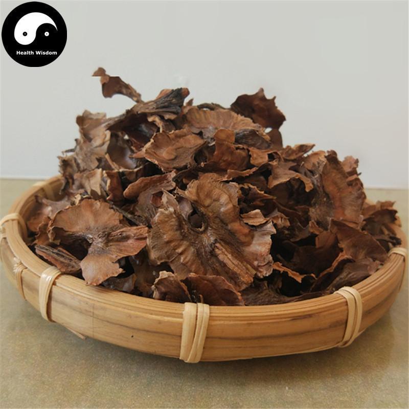 Fen Xin Mu 分心木, Seminis Juglantis Septum, Hu Tao Jia, Hu Tao Yi, Hu Tao Ge-Health Wisdom™