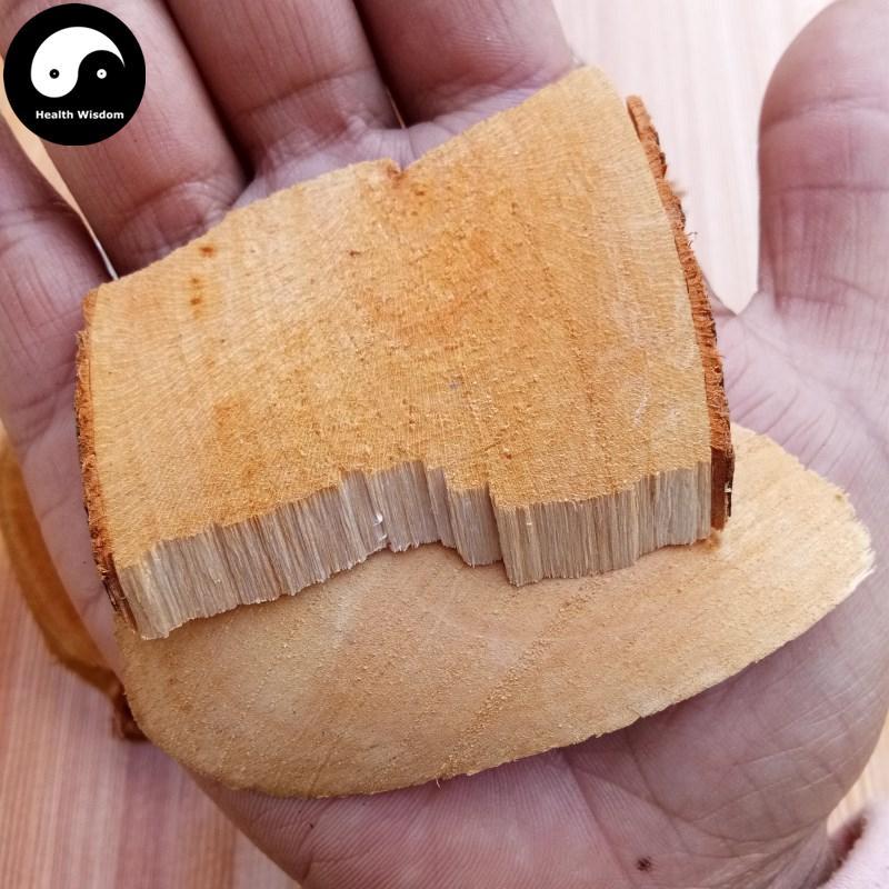 Feng He Li 枫荷梨, Dendropanacis Dentigeri Root, Ban Feng He, Dentiferous Dendropanax-Health Wisdom™