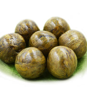Feng Jiao 蜂胶, Pure Propolis, Natural Bee Glue-Health Wisdom™