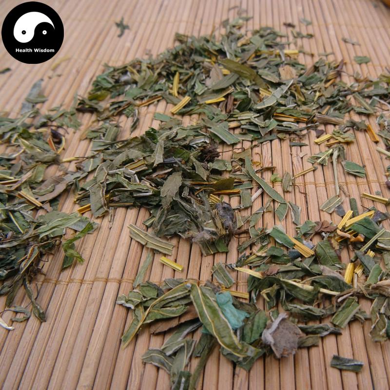 Feng Wei Cao 鳳尾草, Herba Pteridis Multifidae, Chinese Brake Herb-Health Wisdom™