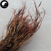 Feng Wei Qi 凤尾七, Herba Rhodiola Dumulosa, Hong Jing Tian-Health Wisdom™