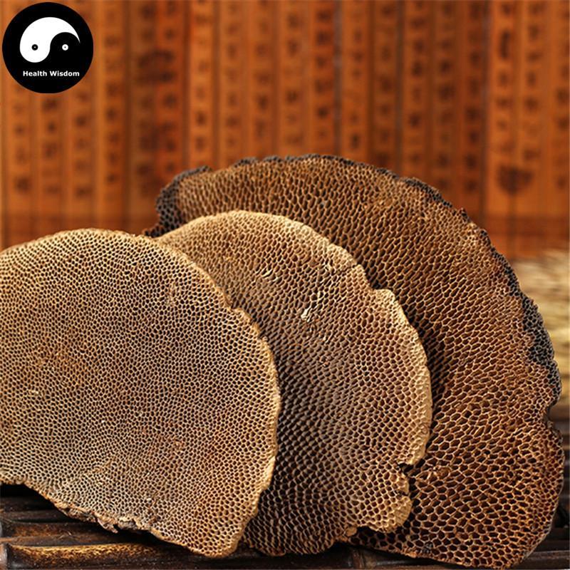 Feng Wo Ling Zhi 蜂窝灵芝, Dried Reishi Mushroom Tea, Ganoderma Lucidum, Wild Black Lingzhi-Health Wisdom™