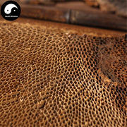 Feng Wo Ling Zhi 蜂窝灵芝, Dried Reishi Mushroom Tea, Ganoderma Lucidum, Wild Black Lingzhi-Health Wisdom™