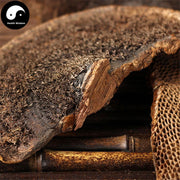 Feng Wo Ling Zhi 蜂窝灵芝, Dried Reishi Mushroom Tea, Ganoderma Lucidum, Wild Black Lingzhi-Health Wisdom™