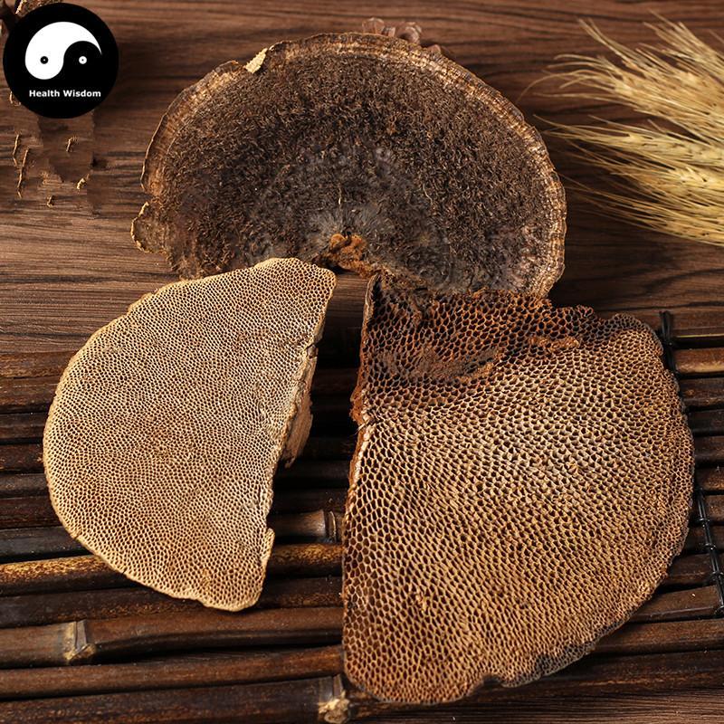 Feng Wo Ling Zhi 蜂窝灵芝, Dried Reishi Mushroom Tea, Ganoderma Lucidum, Wild Black Lingzhi-Health Wisdom™