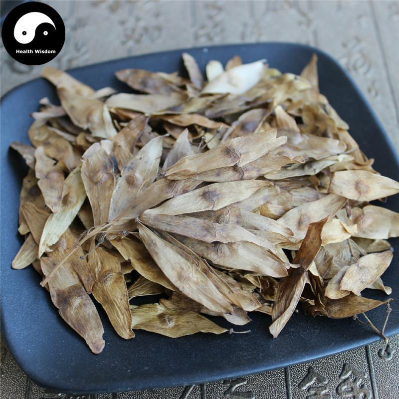 Feng Yan Cao 鳳眼草, Ailanthus Altissima Swingle-Health Wisdom™