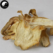 Fo Shou Gan 佛手干, Fructus Citri Sarcodactylis, Finger Citron, Citrus Medica-Health Wisdom™