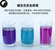 Freeze-dried Flower Butterfly Pea Powder Food Grade Clitoria Ternatea For Home DIY Fruit Tea Drink Cake Juice-Health Wisdom™