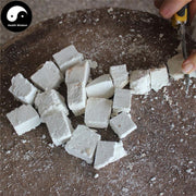 Fu Ling 茯苓, Sclerotum Poriae Cocos, Tuckahoe, Hoelen, China Poria Root-Health Wisdom™