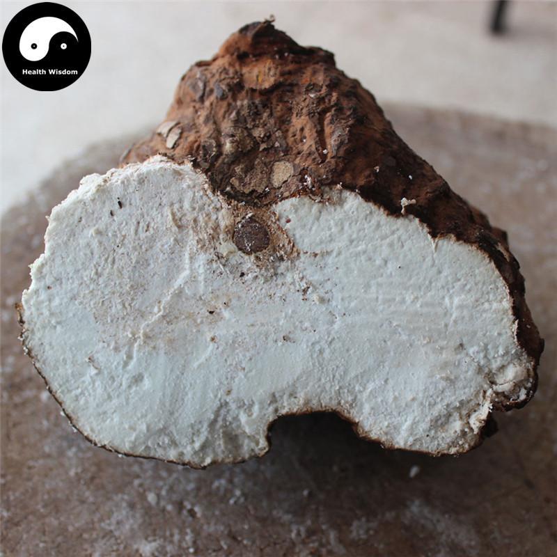 Fu Ling 茯苓, Sclerotum Poriae Cocos, Tuckahoe, Hoelen, China Poria Root-Health Wisdom™