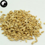 Fu Xiao Mai 浮小麥, Fructus Tritici levis, Blighted Wheat-Health Wisdom™