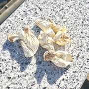 Fungi Bai Ling Gu 白灵菇, Pleurotus Nebrodensis, Gold Mushroom For Soup Food-Health Wisdom™
