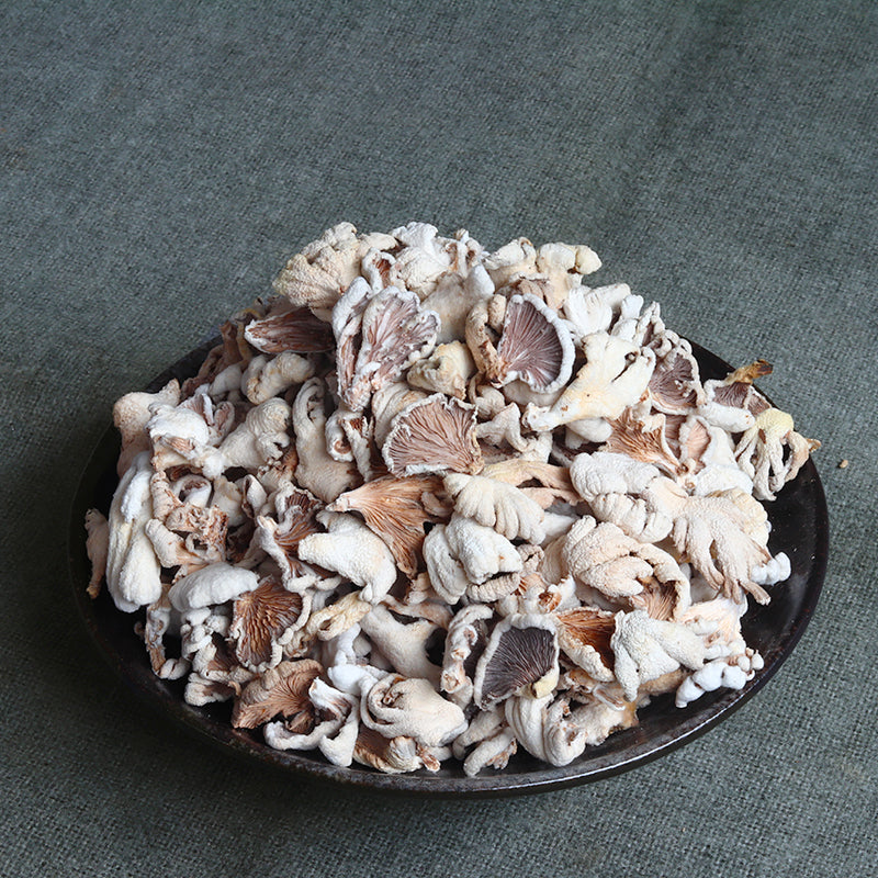 Fungi Bai Shen 白参菌, Schizophyllumcommuneh Mushroom For Soup-Health Wisdom™