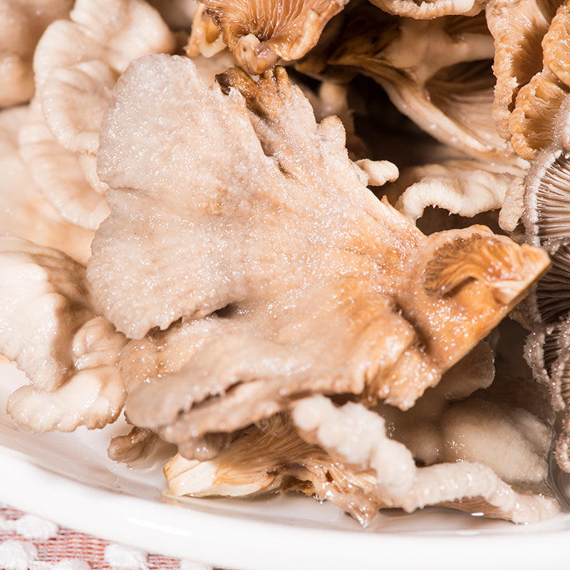 Fungi Bai Shen 白参菌, Schizophyllumcommuneh Mushroom For Soup-Health Wisdom™