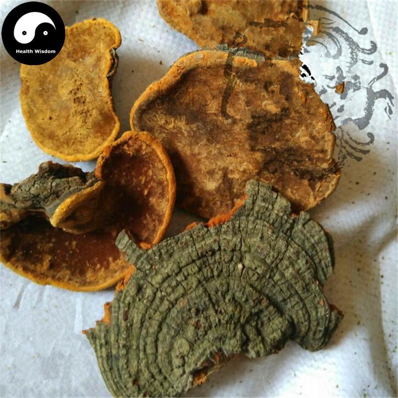 Fungi Huai Er 槐耳, Dried Trametes Robiniophila Mushroom TRM Huaier Huai'er Tea-Health Wisdom™