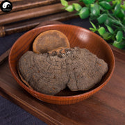 Fungi Huai Er 槐耳, Pure Trametes Robiniophila Mushroom Powder TRM Dried Huai'er Tea-Health Wisdom™