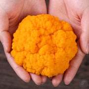 Fungi Huang Jin Er 黄金耳, Naematelia Aurantialba, Gold Mushroom For Soup Food-Health Wisdom™
